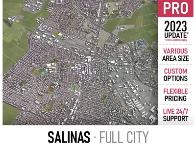 Salinas Low-poly 3D model