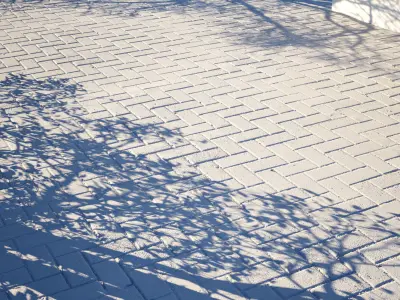 Scanned Herringbone Pavement- 2x2m Texture