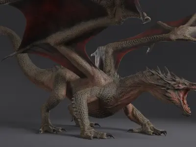  Dragon XO Rigged 