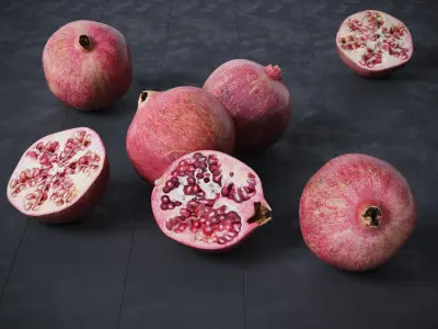 Pomegranate 7 Models