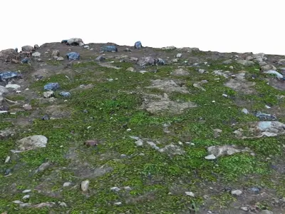 Mossy Ground Low-poly 3D model