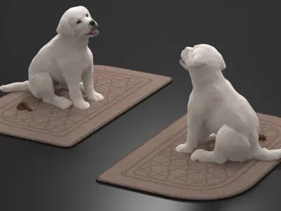  Labrador Retriever Puppy Pooped on the Mat Fur 