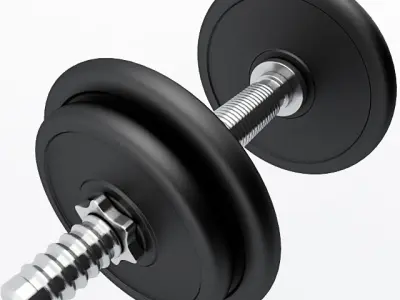 Dumbbell pair of dumbbells 3D model