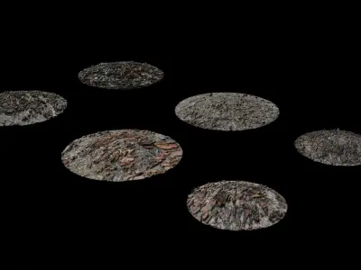 ground debris Low-poly 3D model