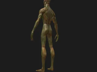 Alien Creature  Low-poly 3D model