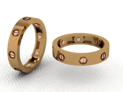 alans ring 30 pieces drawing 3d rihone drawing ring rings  3D print model