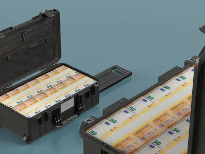  Travel Case Full of Euro 