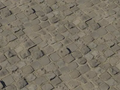 Raised Cobblestone Street With Sand Texture