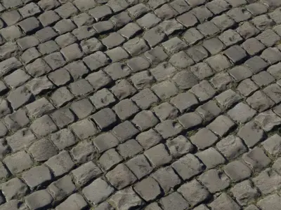 Weathered Cobblestone Street With Moss Texture