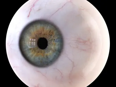  Detailed Human Eye 