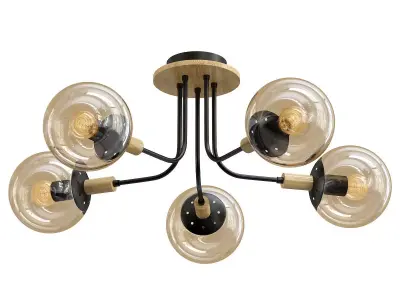 wedo-light-alisiya-66162-01-14-05 ceiling light with five gla... 3D model