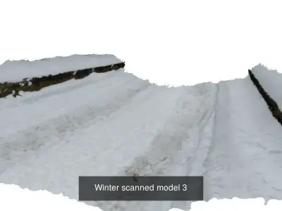 Winter 3D scan collection 3D Model Pack