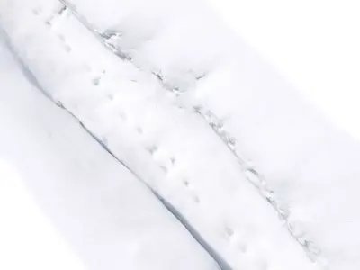 Snowdrift Trail 3D model