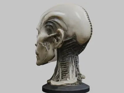 Detailed 3D Head Model HR Giger Man  Low-poly 3D model