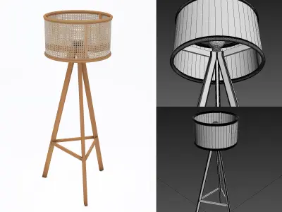 Cane rattal floor lamp 3D model
