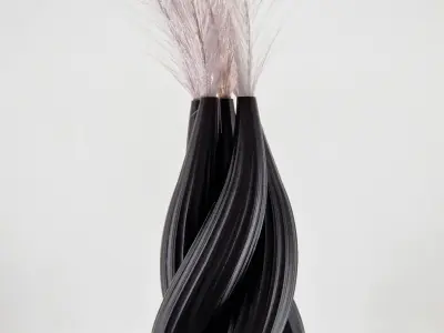 Elegant Twisted Vase 3D print model