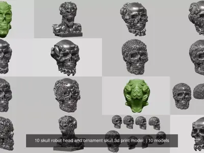 10 skull robot head and ornament skull 3d print model  3D Model Pack
