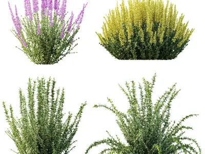 AV 17 sets of unique and high-quality bushes 3D Model Pack