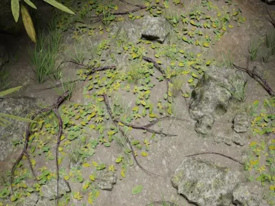 Forest Path Scene 3D model