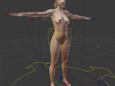  BLENDER Rigged Male and Female Anatomy V07 