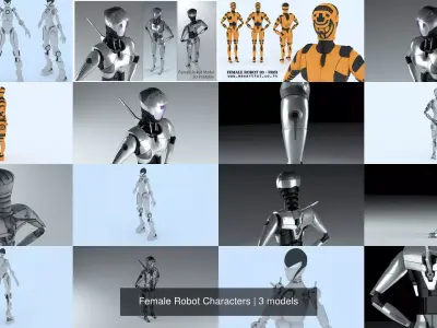 Female Robot Characters 3D Model Pack