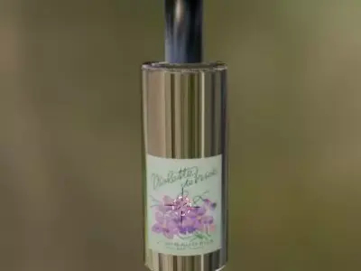 Perfume Bottle Model  3D model