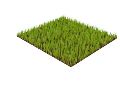 Grasses 3D model