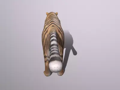 Tiger Low-poly 3D model