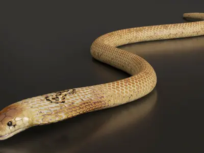  Light Skin Cobra Attack Animated Rigged 