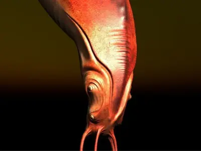 Nautilus head of snake Low-poly 3D model