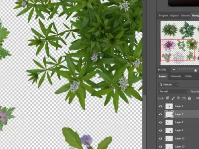 2D Flowers TopViews Collection 15 Layers PNG PSD PDF Texture