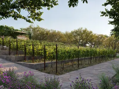 Italian Winery Exterior Scene 3D model