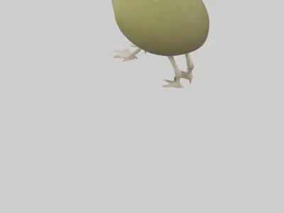 Kiwi walking on forest floor model Low-poly 3D model