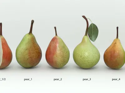 Pear 3d models 3D model