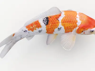  Koi Fish 1 (Animated) 