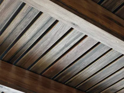 Branches rectangular ceiling N1 3D model