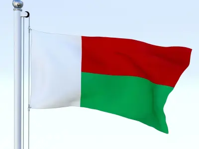 Animated Madagascar Flag Low-poly 3D model