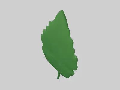 Mint v1 001 Free low-poly 3D model