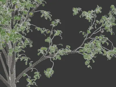 Animated trees for architectural visualization 3D model