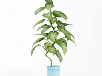 Tall Green House Plant 3D model