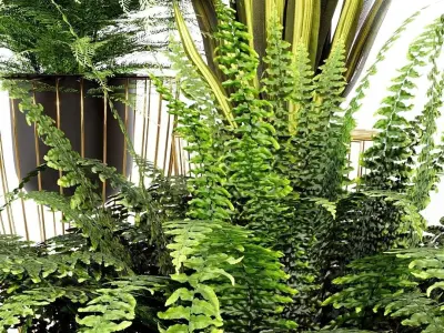 INDOOR PLANT SET 03 3D model