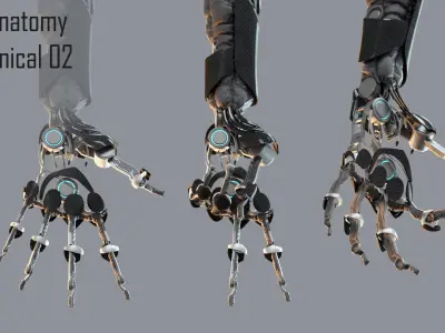 Robotic hand anatomy 02 3D model