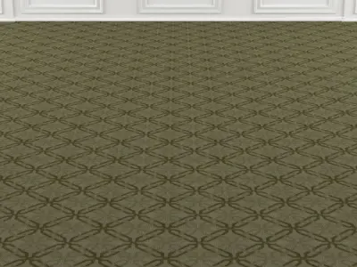Wall to Wall Seamless Carpet Tile  No 2 3D model