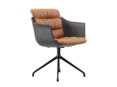 DS 525 02 Tosca Armchair 3D model