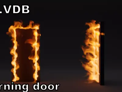 Burning door vdb 3D model