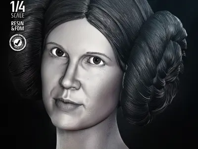 STAR WARS Leia New Hope Portrait Bust 3D print model