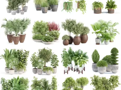 71 Plant collection vol 200 3D Model Pack