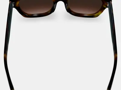 Gael Sunglasses in Cognac Tortoise 3D model