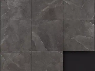 Ariana Ceramica Storm Mud 600x600 3D model