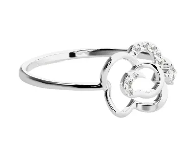 Ring - 20 3D print model